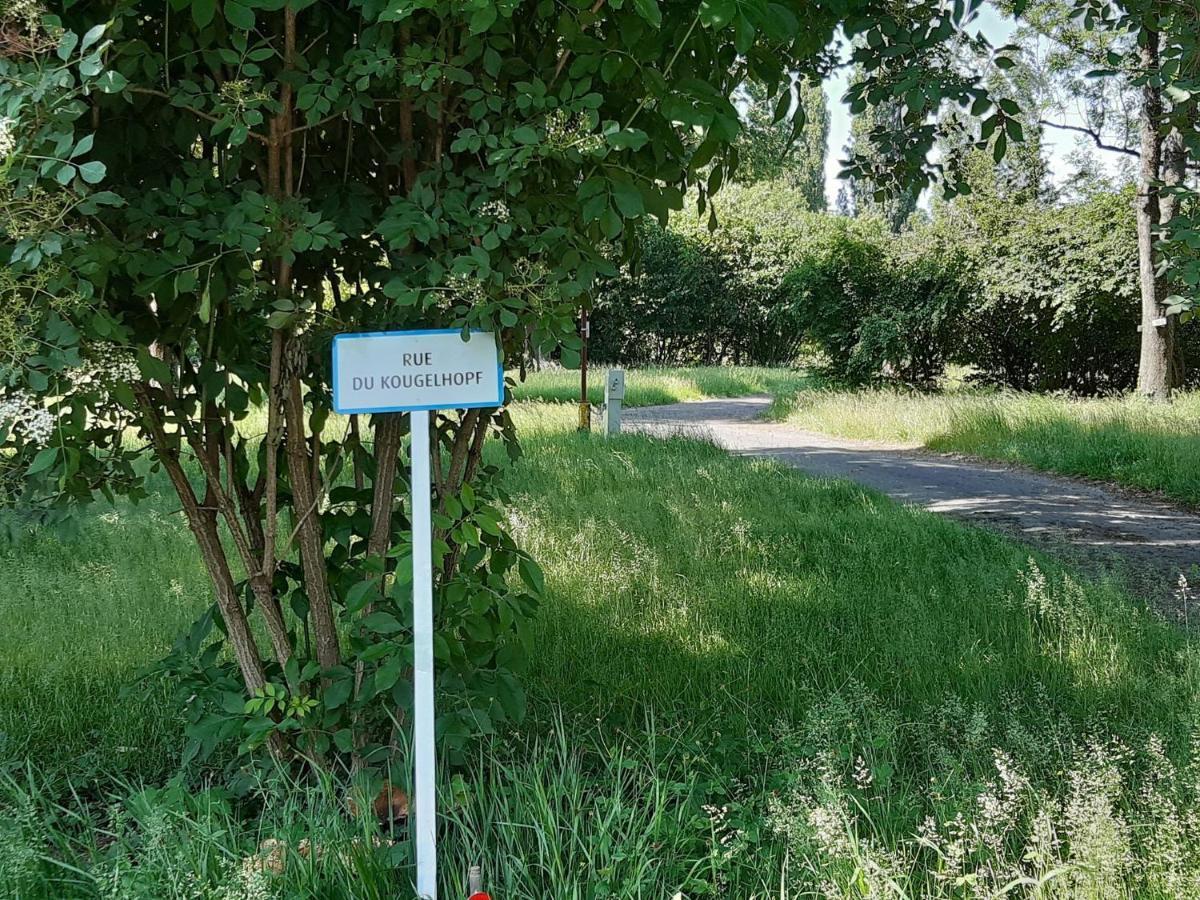 Camping De L'Ill Μυλούζη Εξωτερικό φωτογραφία